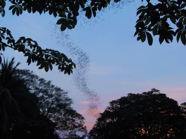 La montagne de Phnom Sampov