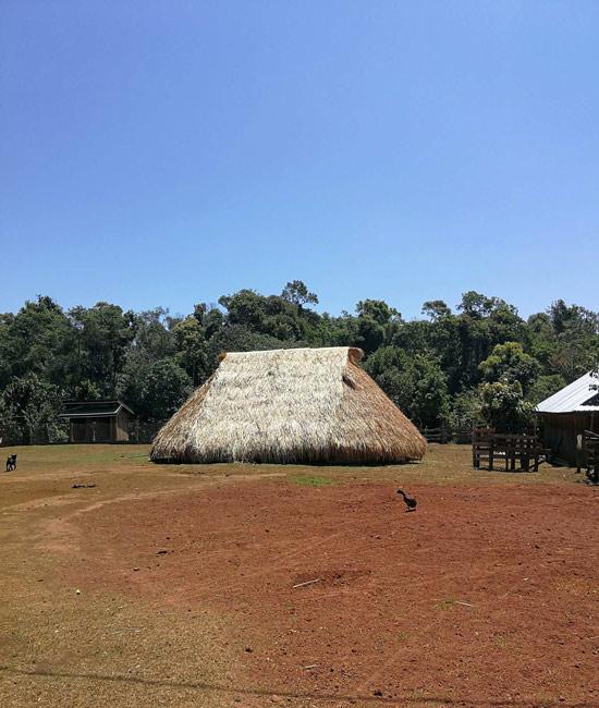  Maison traditionnelle en toit de paille dans un village indigène à Mondulkiri