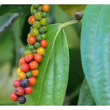 Des grains de poivre allant du noir au vert en passant par le rouge le jaune et l'orange.